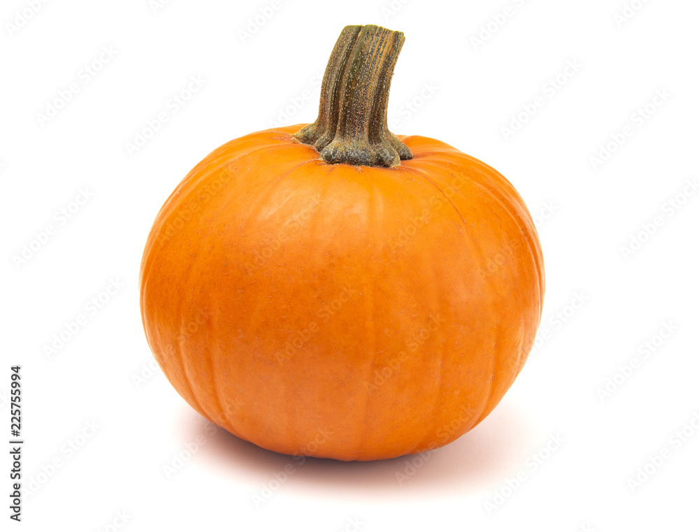 Naklejka premium Perfect Pumpkin For Making into a Pie
