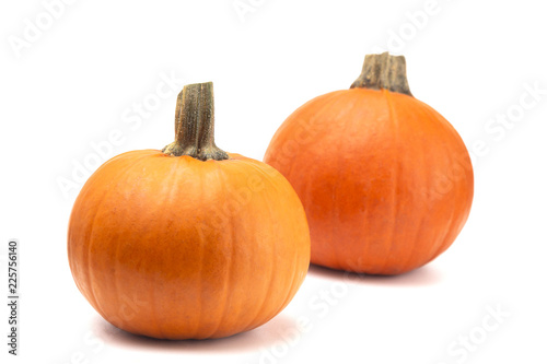 Fotografía Perfect Pumpkins For Making into a Pie