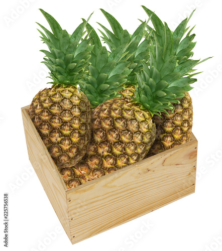 Wooden box filled with pinapples fruit - collage isolated on white background photo