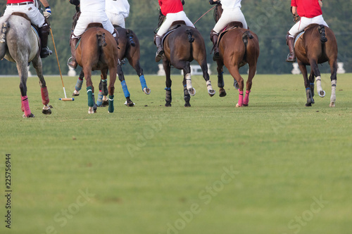 Team game in a horse polo in the summer on the green field. Players in a red and white form in hands compete with clubs for tackling to score a goal in gate. The place for an inscription or design