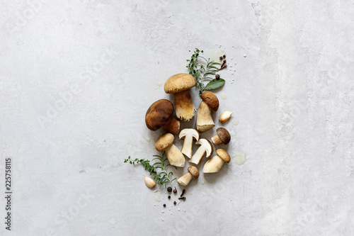 Organic porcini mushroom. Seasonal forest mushroom, Italian and spices.