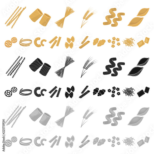 Types of pasta cartoon icons in set collection for design. Figured macaroni for eating vector symbol stock web illustration.