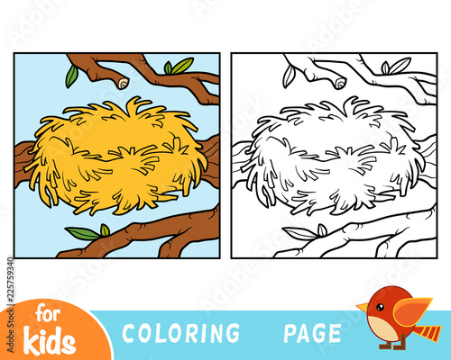Coloring book, Zero. Empty nest