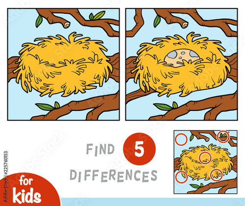 Find differences, game for children, nest
