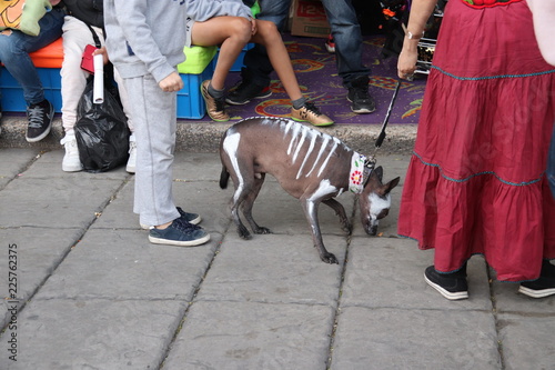 Dia de muertos catrina halloween