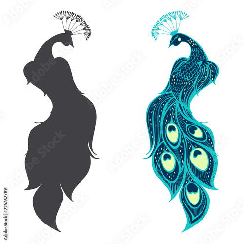 Peacocks. Vector illustration, two variants. Isolated elements on white background.