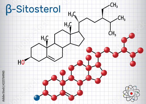 Beta-sitosterol molecule. It is phytosterols (plant sterols) Structural chemical formula and molecule model. Sheet of paper in a cage