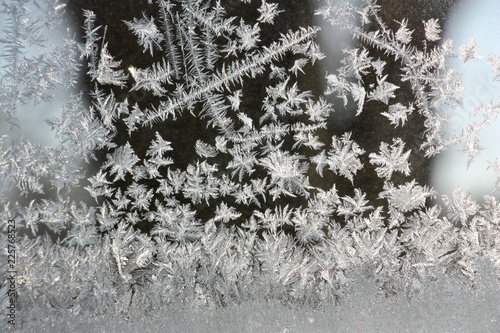 Frost