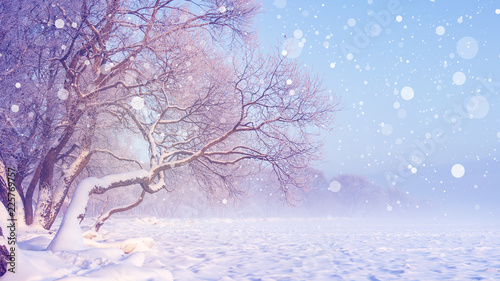 Winter landscape in snowfall. Christmas background. Frosty trees. Snowy winter scene. Winter fairytale