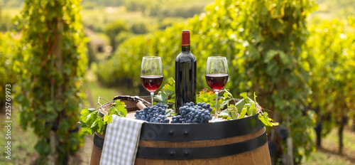 Pouring red wine into the glass, Barrel outdoor in Bordeaux Vineyard photo