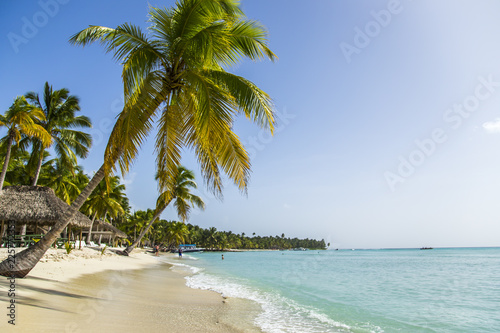 Beach on Saona Island, Dominican Republic