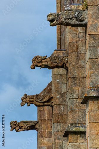 Impessionen aus Fougères - Wasserspeier an der Eglise Saint Leonard photo