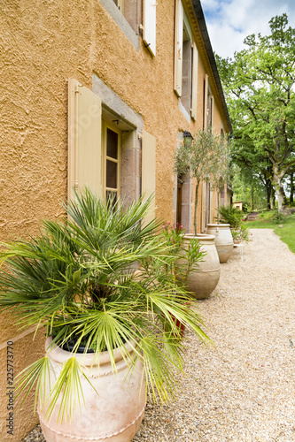 Front facade of an old stone country house in the South of France. Palms in pots below windows with shutters