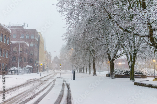 snowy road in winter © nrqemi