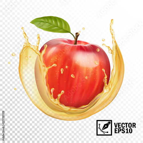 Realistic vector apple in a transparent splash of juice. Editable handmade mesh