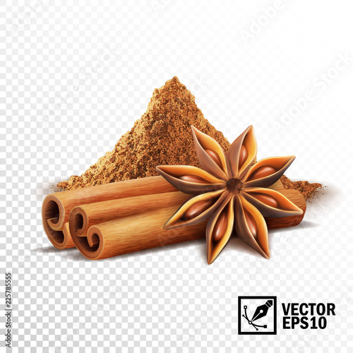 Fotografiet 3d realistic vector set of cinnamon sticks, anise stars and a pile of cinnamon