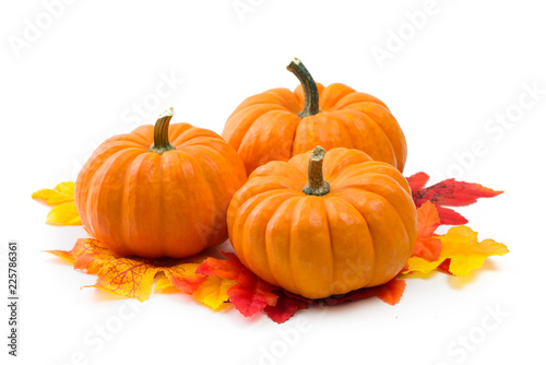 Fresh orange miniature pumpkins with dry autumn leaves isolated on white background photo