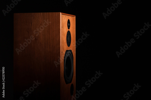 wooden hi-end loudspeaker  photo