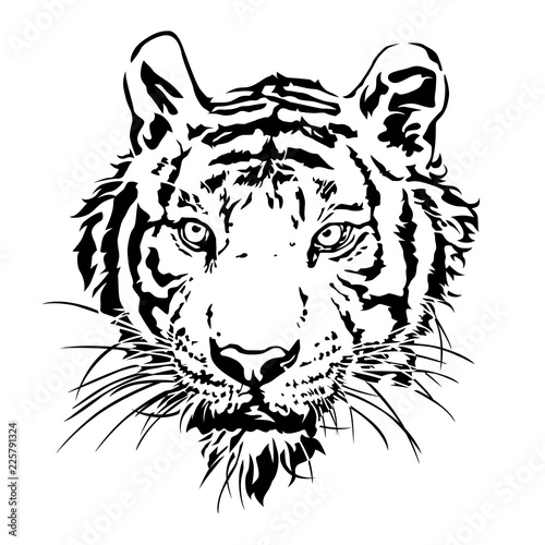 Fototapeta Naklejka Na Ścianę i Meble -  Tiger head silhouette, Vector illustration and design.