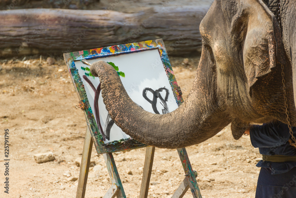 Fototapeta premium Elephant painting in picture tree frame at The Thai Elephant Conservation Center (TECC), Mahouts show how to train elephant in forestry industry