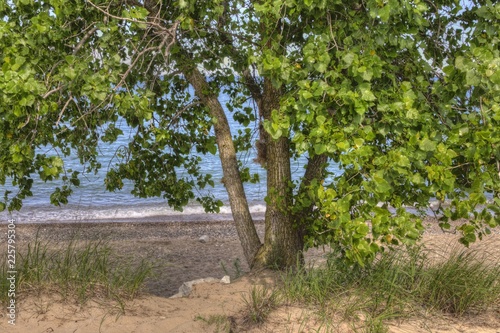 Illinois Beach State Park photo