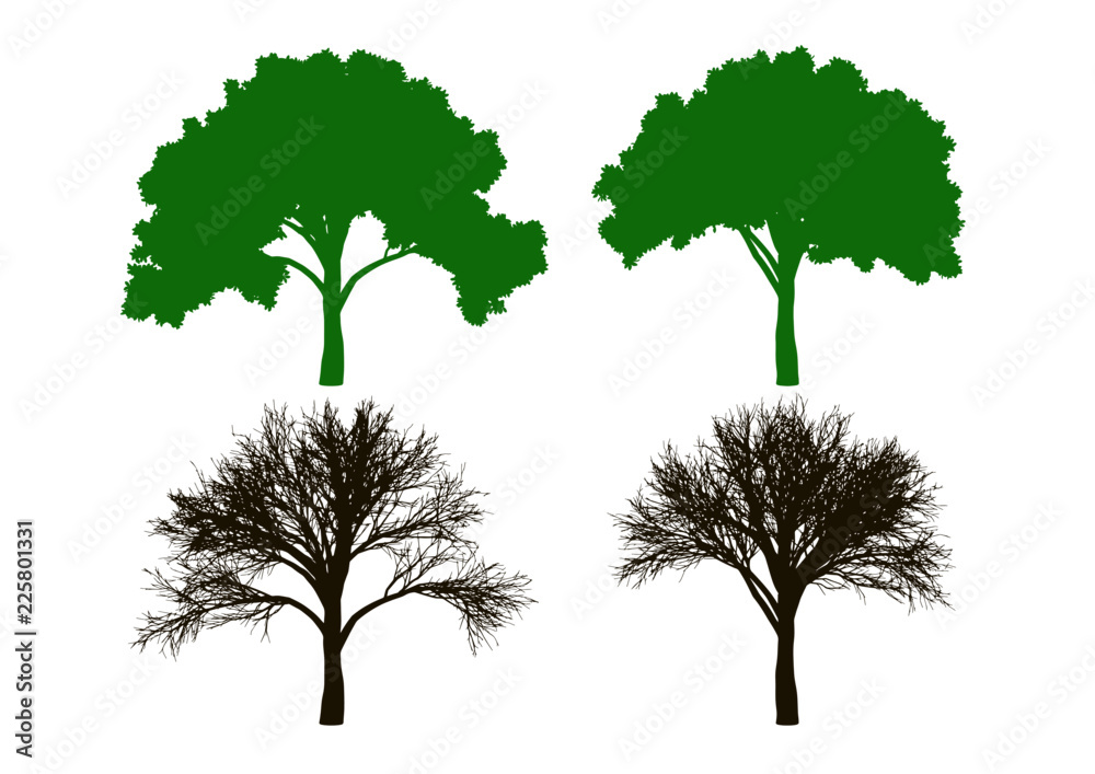 夏の木と冬の木 シルエット素材 Stock Vector Adobe Stock
