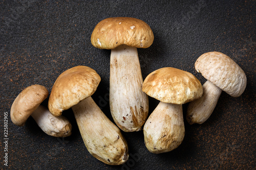 Mushroom Boletus on dark table. Autumn cep Mushrooms. Ceps Boletus edulis on rustic background close up top view. Gourmet food. Cooking mushroom