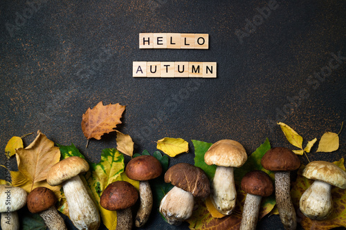 Fotografie, Obraz Hello Autumn card