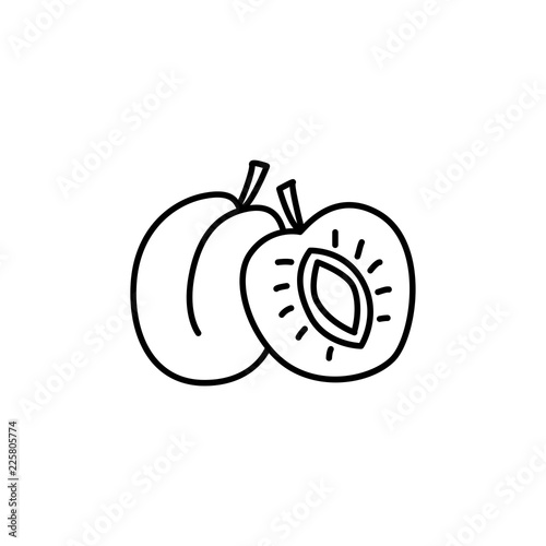 Black & white vector illustration of whole & cut apricot with kernel. Line icon of fresh fruits with sead. Vegan & vegetarian food. Health eating ingredient. Isolated object
