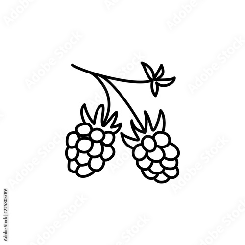 Black & white vector illustration of organic raspberry. Line icon of fresh berries with leaves. Vegan & vegetarian food. Health eating fruit ingredient. Isolated object