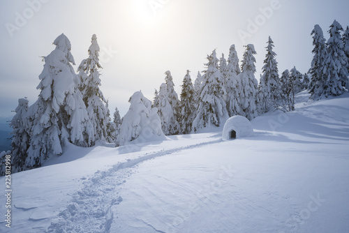 Tableau sur toile Winter mountain vacations with a snow igloo