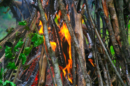 Inside the Bonfire photo