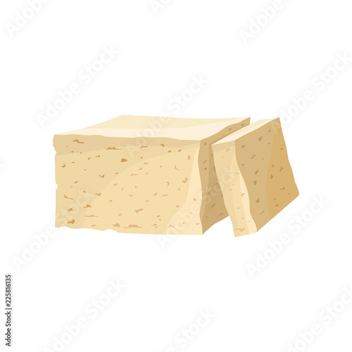 Piece of tofu cheese, healthy diet food, vegan source of protein vector Illustration on a white background