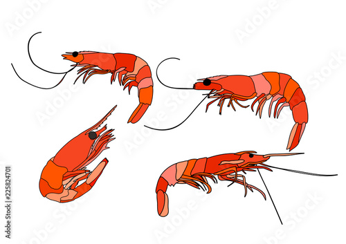  set food,  shrimp