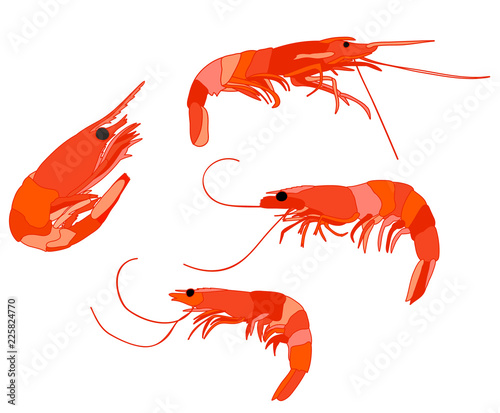  set food,  shrimp