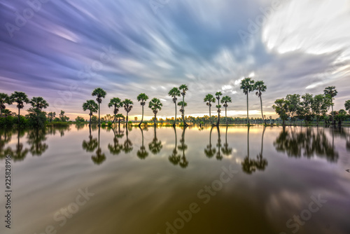 Colorful sunrise with tall palm trees rising up in the dramatic sky beautiful clouds and silhouette reflect on the surface water in rural Mekong Delta photo