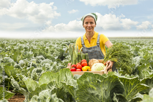 happy smiling ukrainian harvest helper working in a cabbage field with a variation of vegetables in a wooden box.
