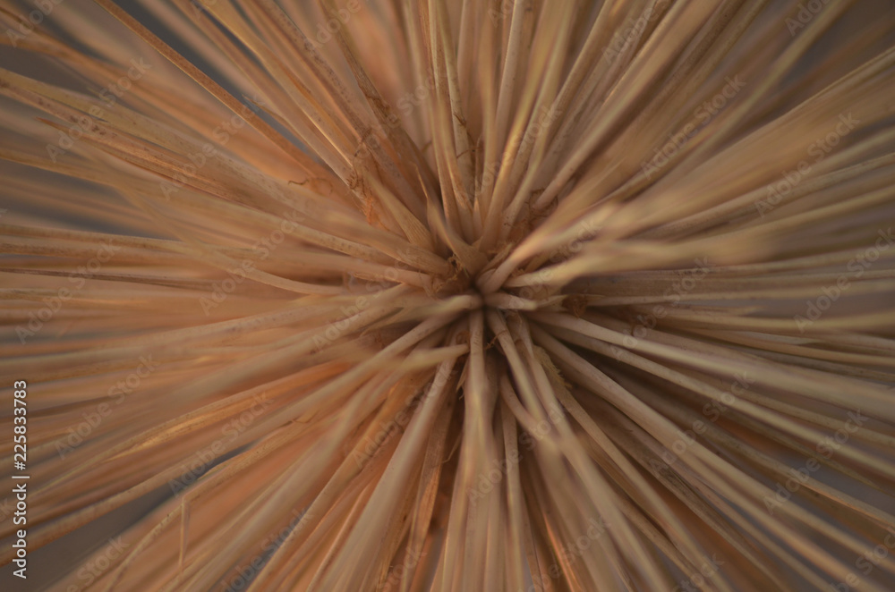 Obraz premium abstract background