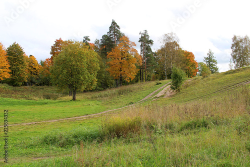 Big trees in the park in autumn photo