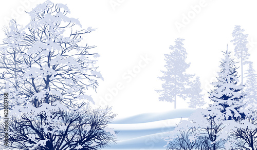 trees in snow winter white illustration