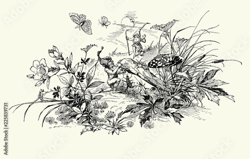 Vintage typography, beautiful  chapter endpiece decoration, vignette with gnomes,mushroom,spring flowers and butterfly