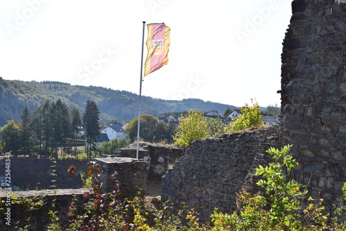 Virneburg Ruine photo