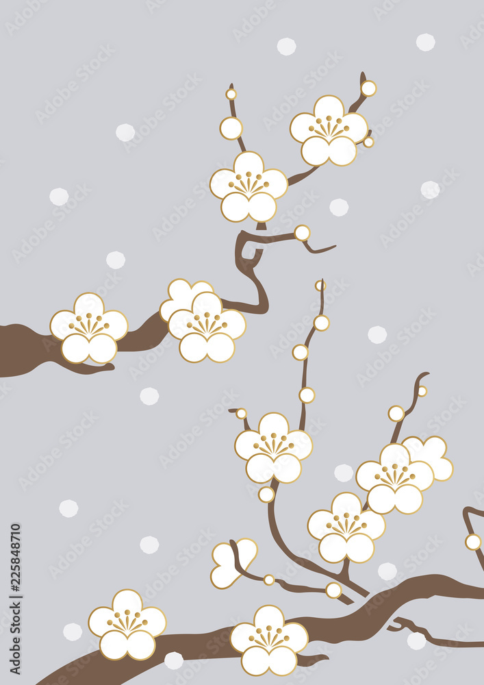 白梅と雪の空 新春の和柄素材 背景素材 梅の花のイメージ Vector De Stock Adobe Stock
