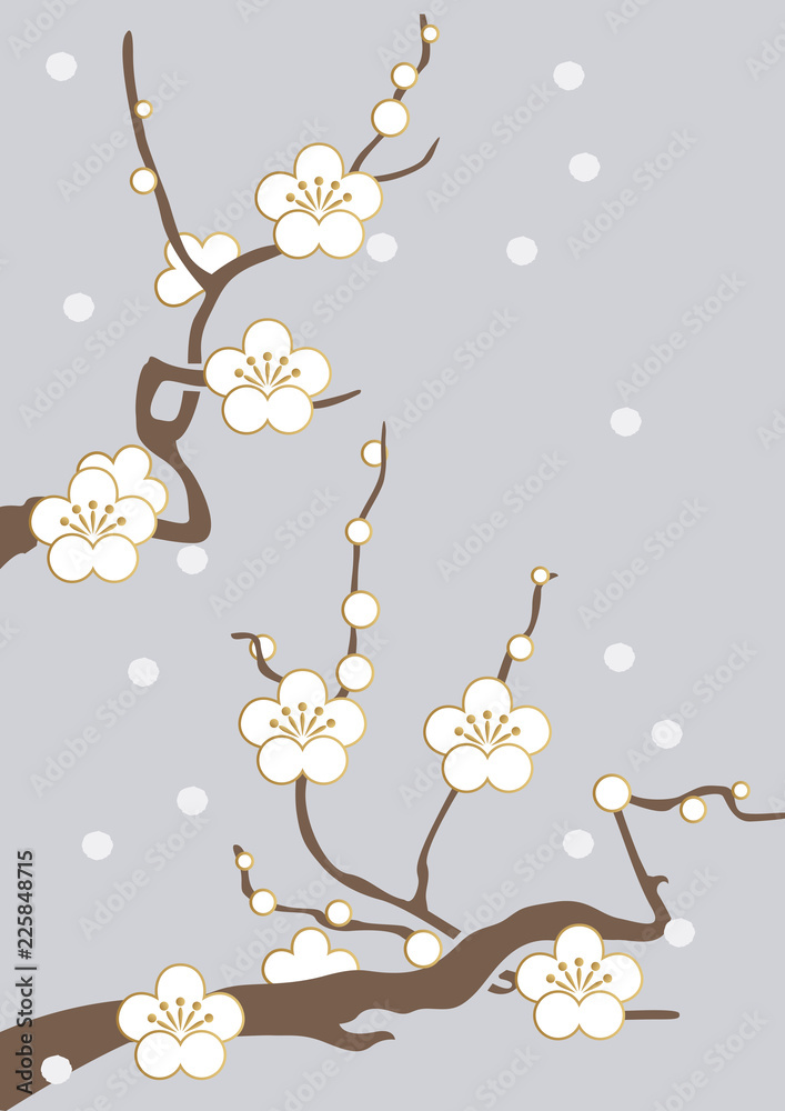 白梅と雪の空 新春の和柄素材 背景素材 梅の花のイメージ Stock Vector Adobe Stock