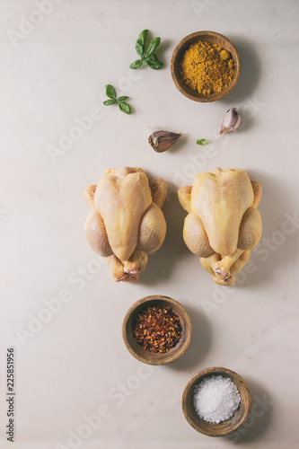 Two raw organic uncooked whole yellow corn mini chicken with salt, turmeric powder, red hot chili pepper, basil, garlic over marble background. Cooking concept. Flat lay, space
