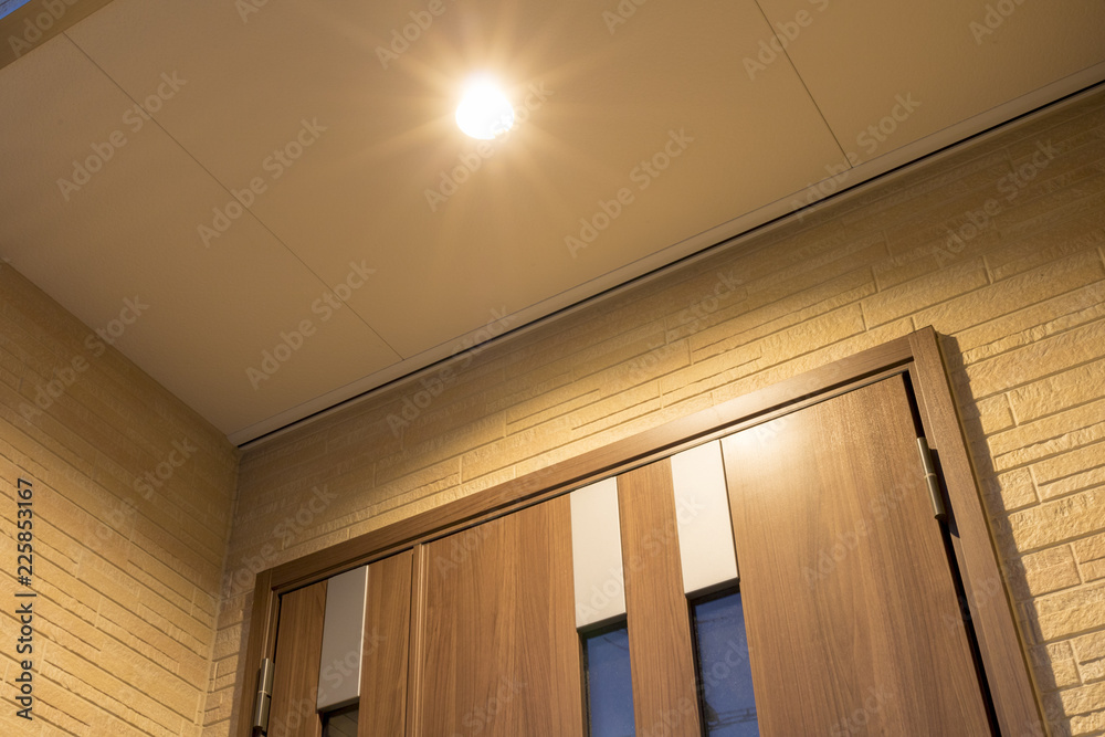 Fototapeta premium 玄関の扉と照明