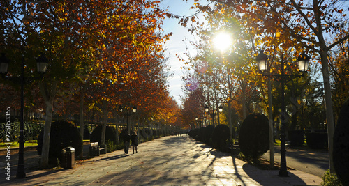 Paseo por el Parque Gasset en otoño, Ciudad Real, España photo
