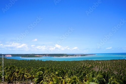 Alagoas beach photo