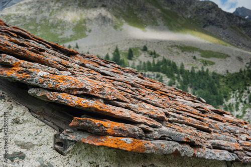 Roofs of old alpien architecture