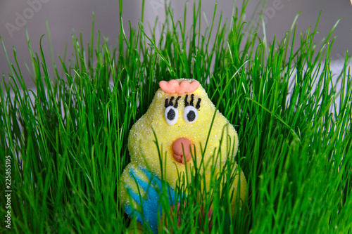 Easter chick in the green grass photo